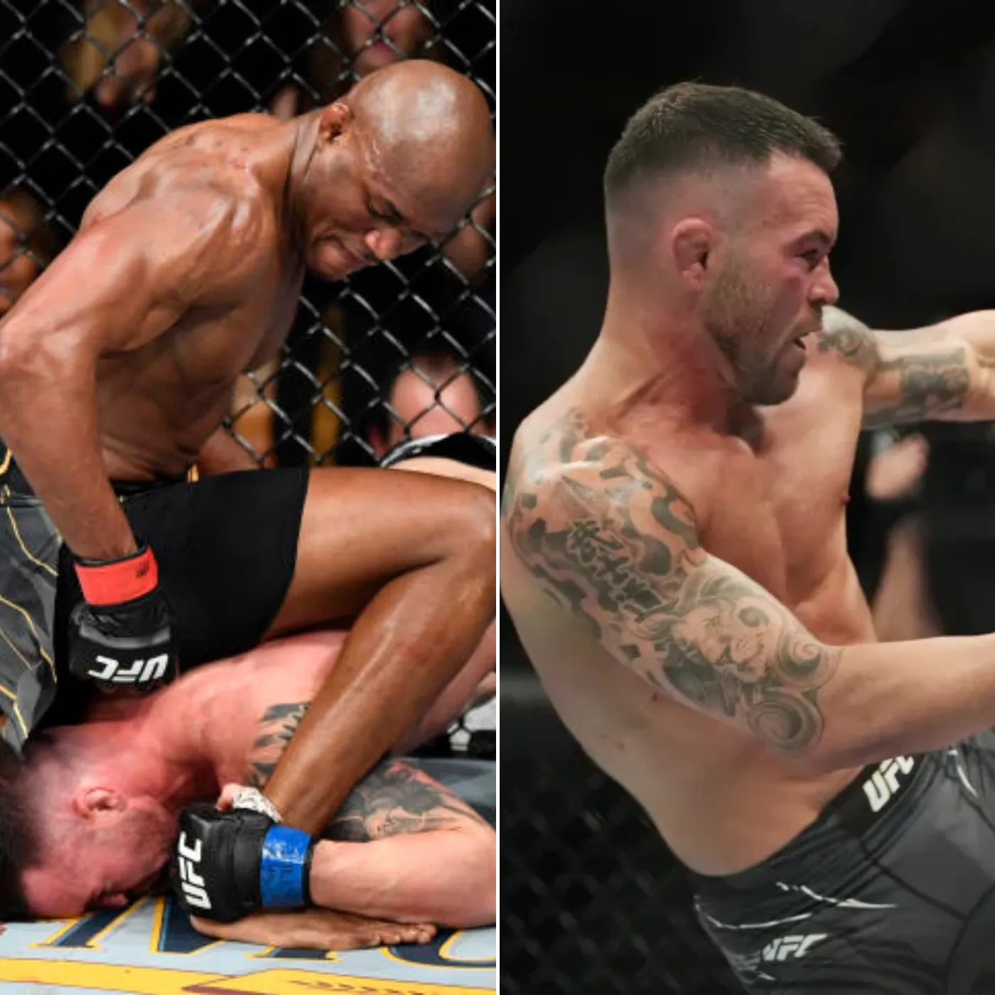 image_6773784ad84fb Colby Covington’s Year of Defeat Exposed with a Shocking Confession That Changes Everything