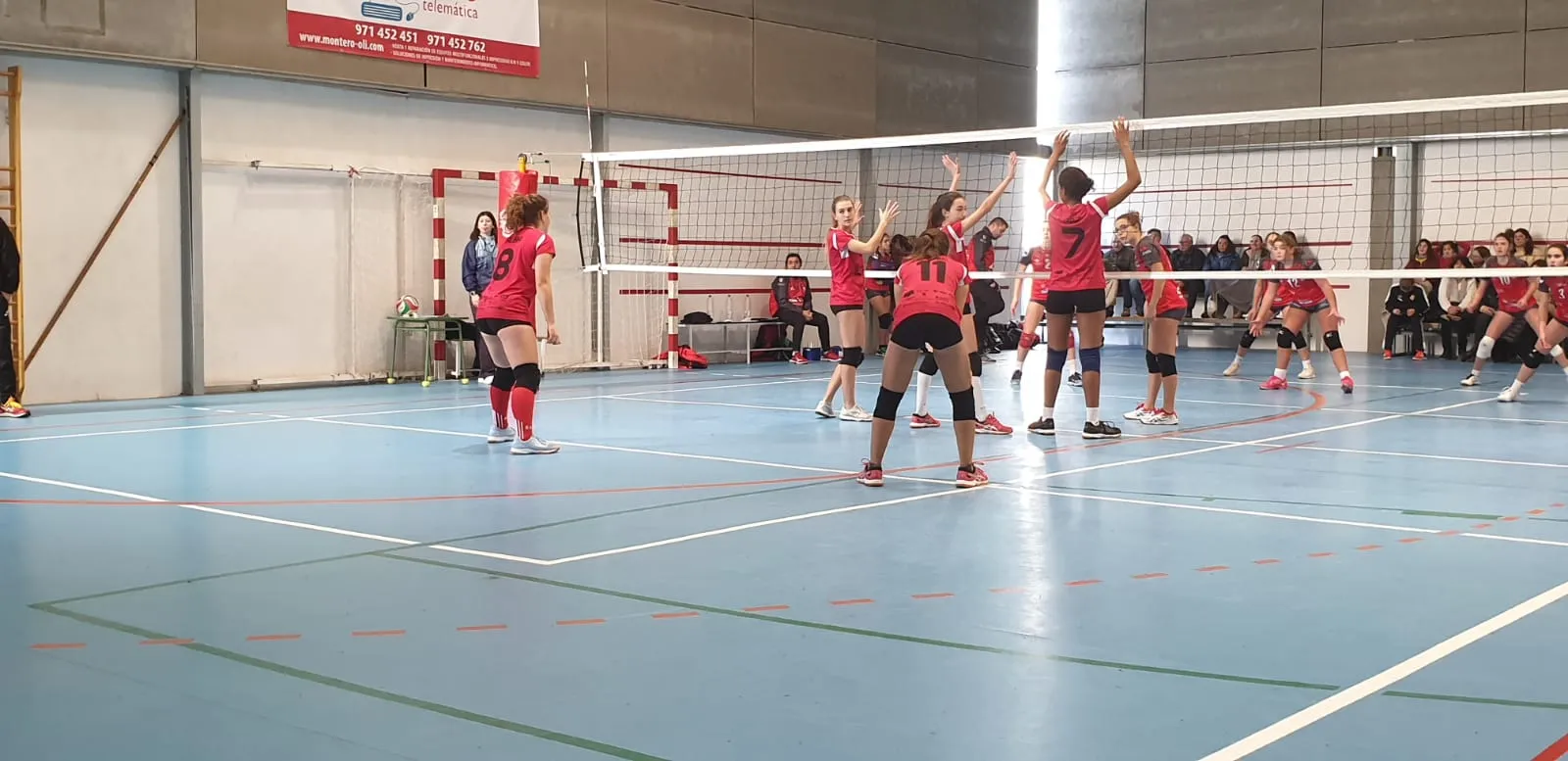 image_67774fa971843 Mallorca Secures Double Victory at the Spanish Cup. Notable Achievements from Volleyball Teams