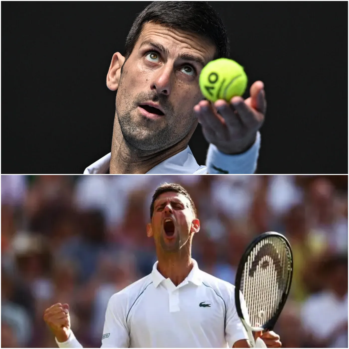 image_67793fb1926d3 Djokovic's Title Drought