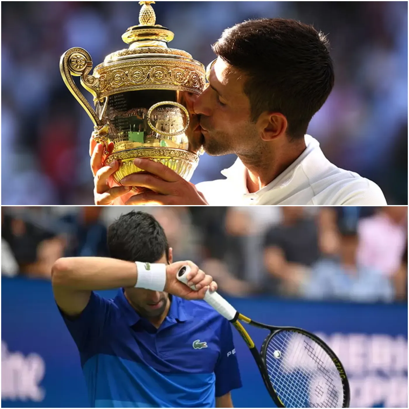 image_677941bf74fc4 What is happening to Djokovic?