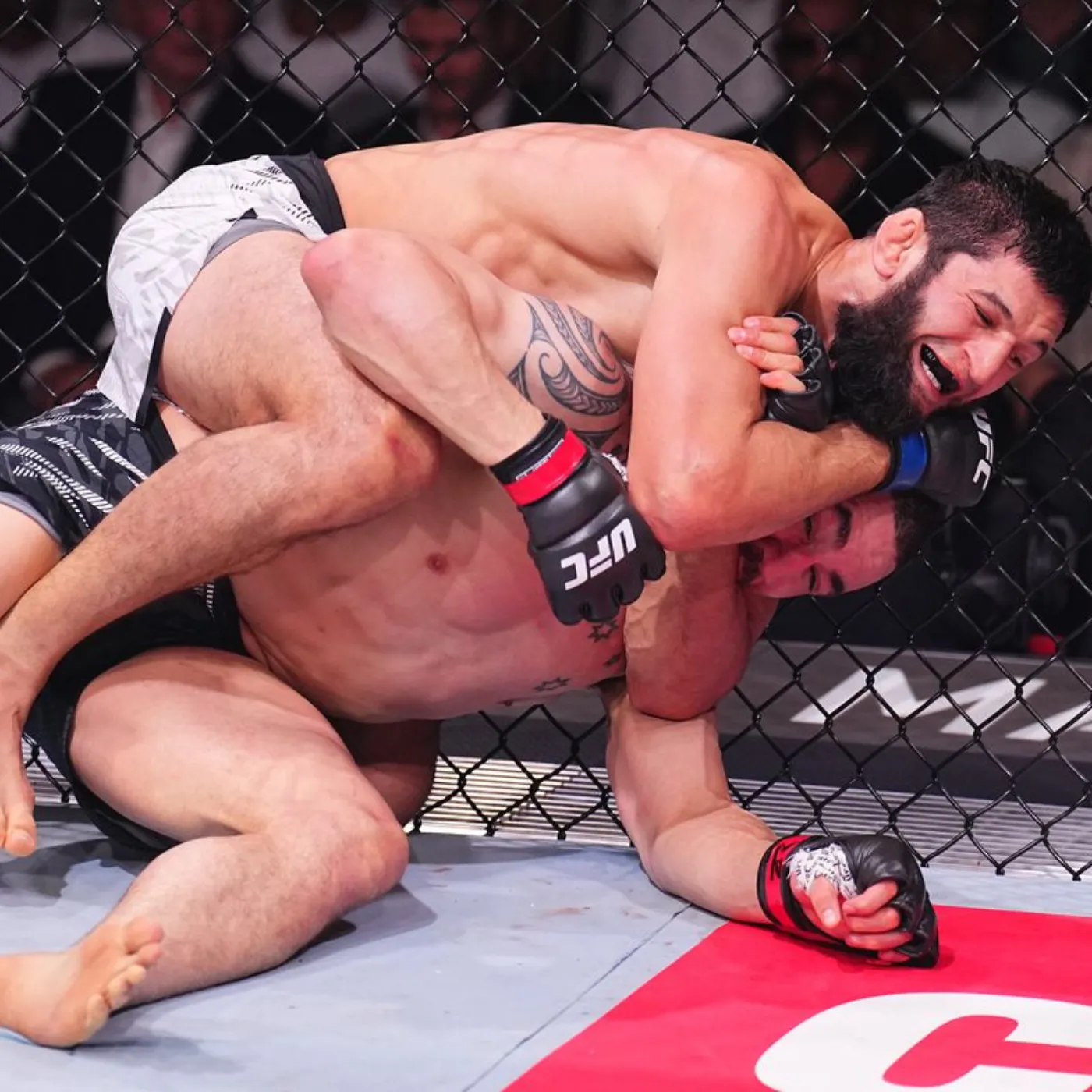 image_67aafef7f1433 Can the Fierce "Wolf" Khamzat Chimaev Truly Defeat the MMA "God"?