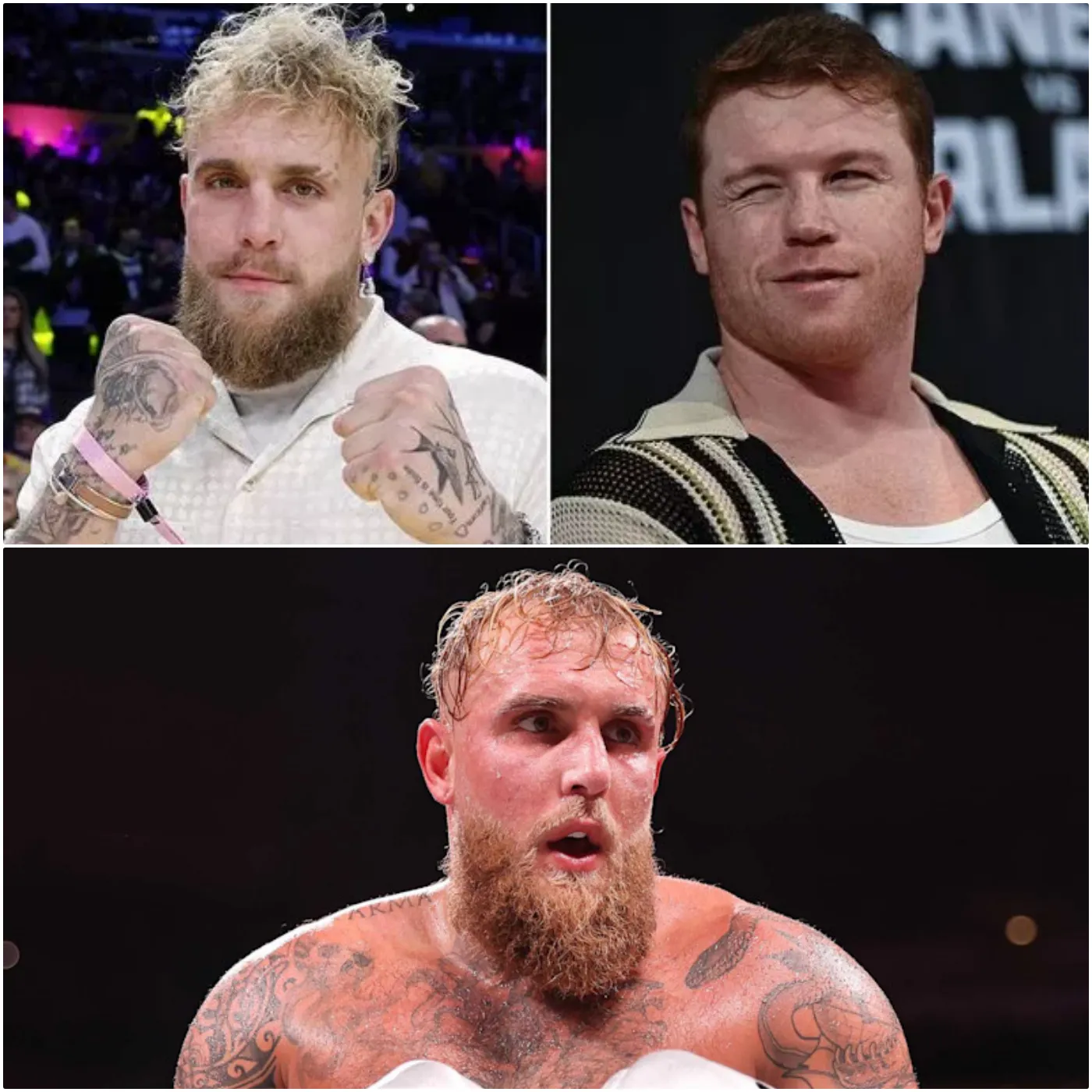 image_67ac1b2b0260e Jake Paul Should Thank Canelo Alvarez for Saving Him from an Embarrassing Beating