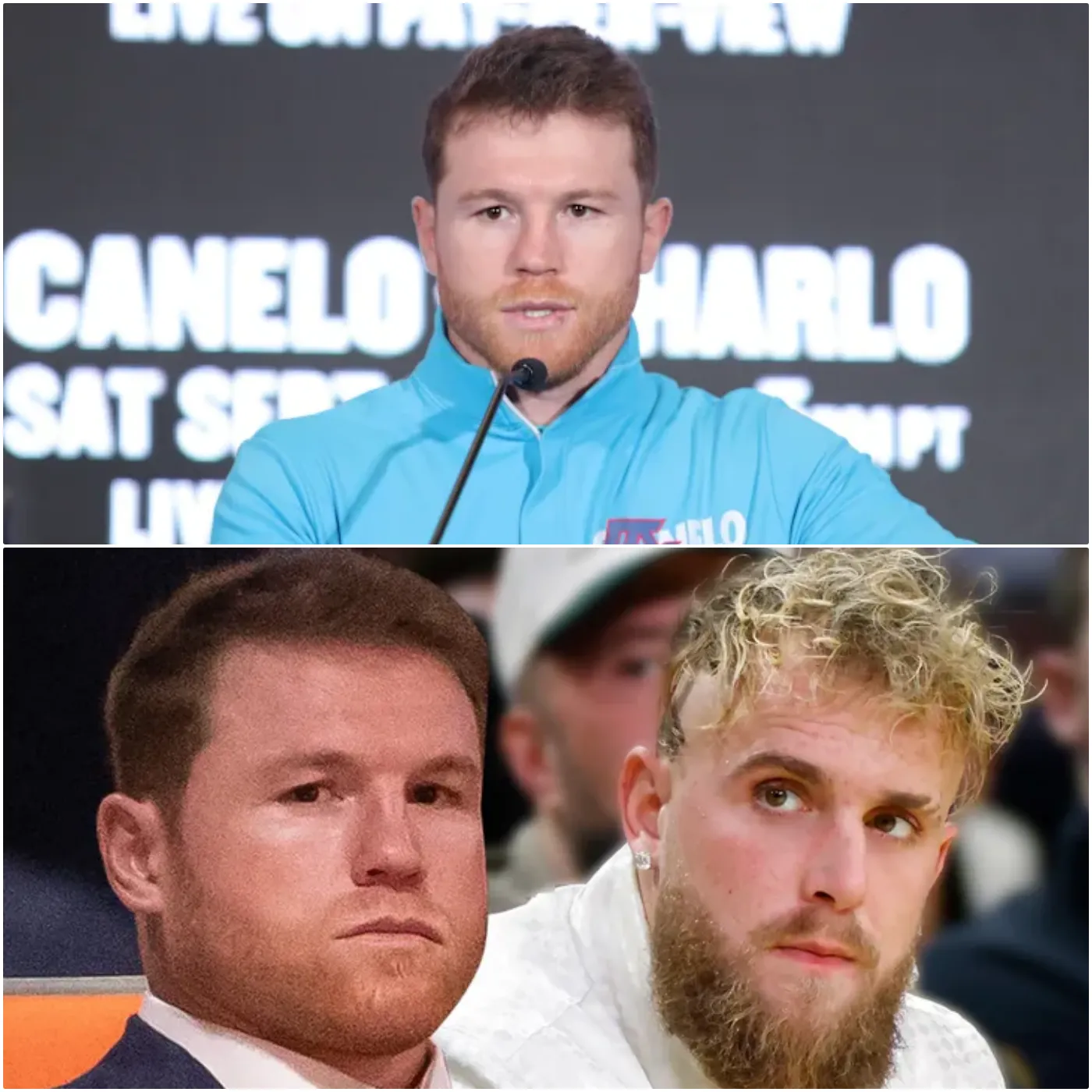 image_67ac1b2c400cf Jake Paul Should Thank Canelo Alvarez for Saving Him from an Embarrassing Beating