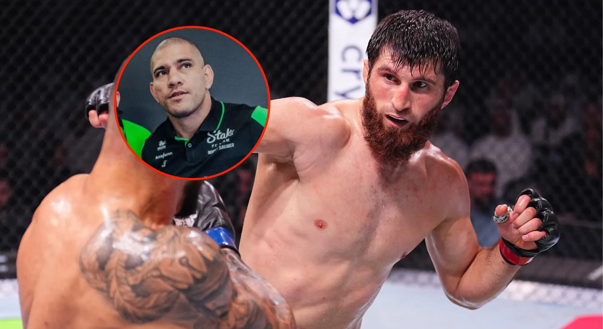 image_67ad6e652274c Alex Pereira vs. Ankalaev: A Clash of Titans at UFC 313