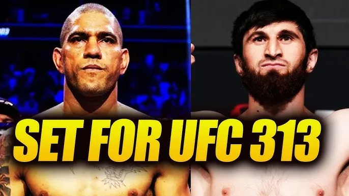 image_67ad6e665dbf8 Alex Pereira vs. Ankalaev: A Clash of Titans at UFC 313