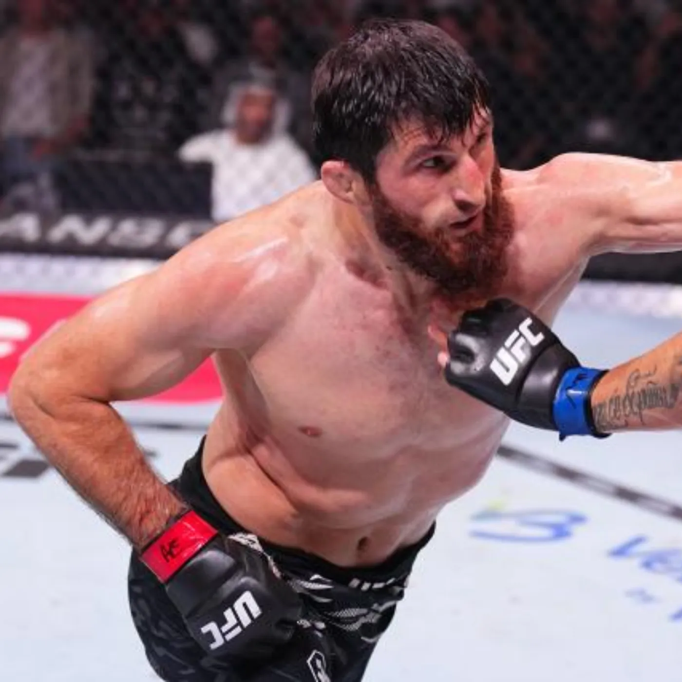 image_67adad1621ecf Magomed Ankalaev is seizing the opportunity as Alex Pereira continues to struggle ahead of the match