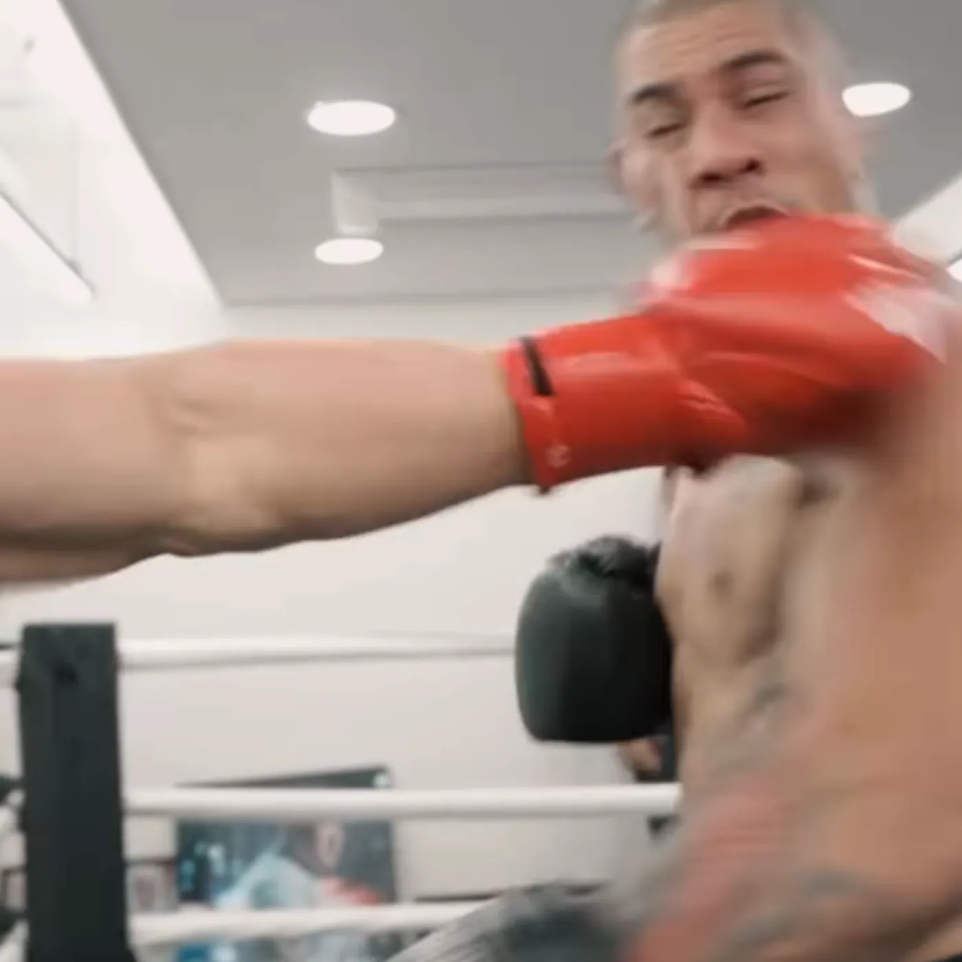 image_67b2fc2cedcb2 Alex Pereira enters special training, a dangerous sign for Magomed Ankalaev