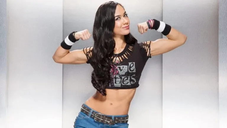 image_67b5ebcb0a933 WWE Champion Calls for AJ Lee is Return, I Can not Retire Until She Comes Back