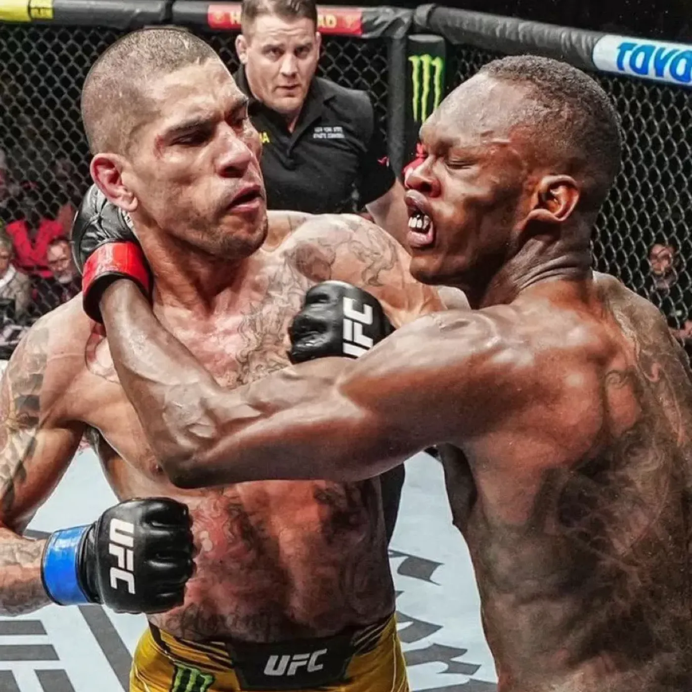 image_67b6b6896a526 UFC 313 MASSACRE! Alex Pereira Promises the Most SAVAGE KO of His Career!